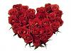 اضغط على الصورة لعرض أكبر. 

الإسم:	Red Roses Heart-839609.jpg 
مشاهدات:	606 
الحجم:	16.7 كيلوبايت 
الهوية:	173