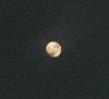 اضغط على الصورة لعرض أكبر. 

الإسم:	DSCF5987 - Copie.jpg 
مشاهدات:	676 
الحجم:	32.6 كيلوبايت 
الهوية:	2804