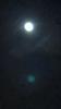 اضغط على الصورة لعرض أكبر. 

الإسم:	IMG-20210425-WA0013.jpg 
مشاهدات:	489 
الحجم:	77.1 كيلوبايت 
الهوية:	6907